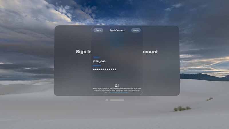 Screenshot of Connect SSO