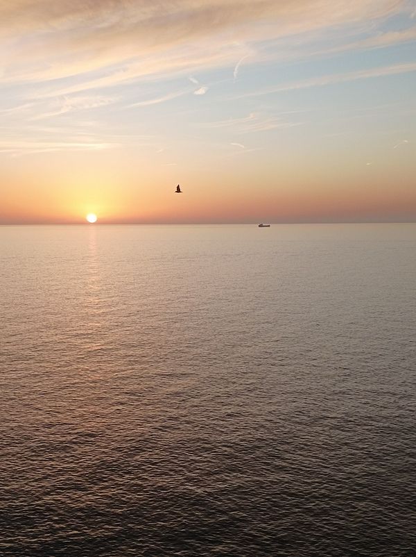 A serene sunset over the ocean with a bird flying in the foreground.