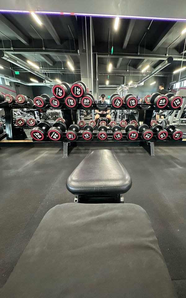 A gym interior featuring a rack of dumbbells and a bench.