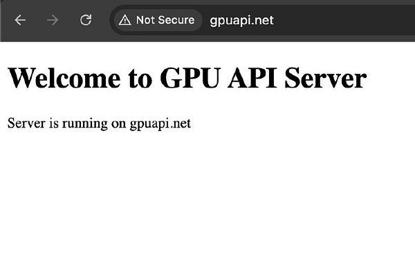 The image displays a web page indicating the status of a GPU API server.
