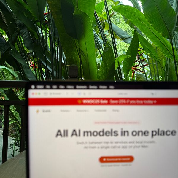 A laptop screen displaying a webpage is set against a lush jungle backdrop.