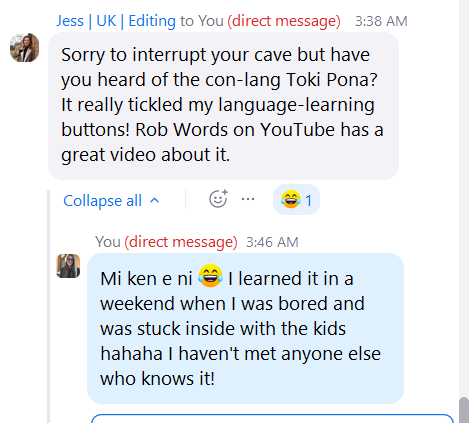 A conversation about the constructed language Toki Pona between two users in a messaging app.