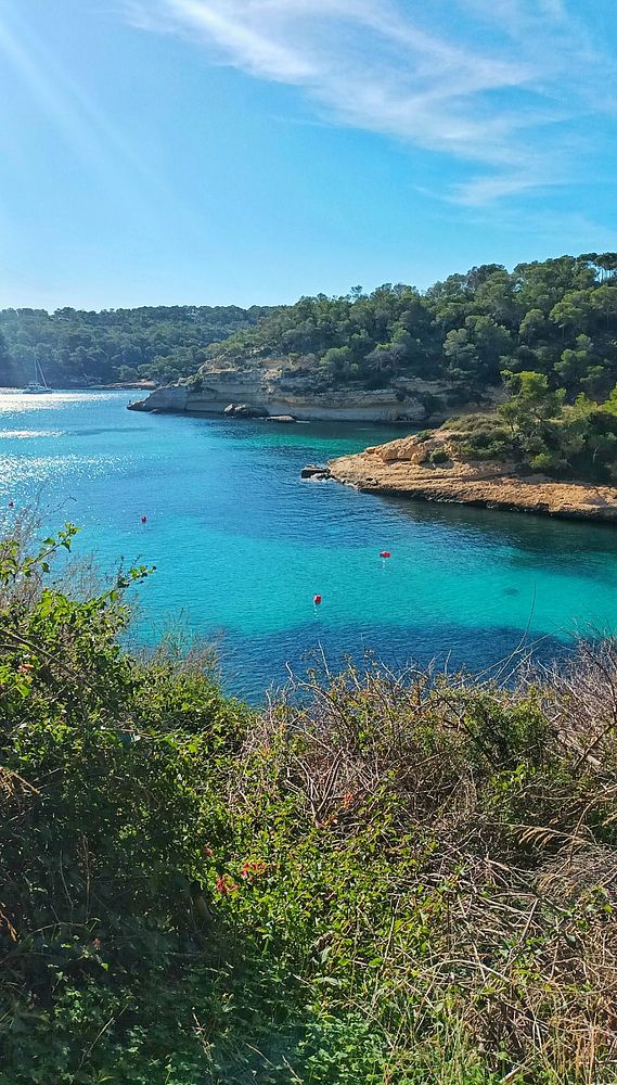 A picturesque coastal scene featuring clear turquoise waters and lush greenery.