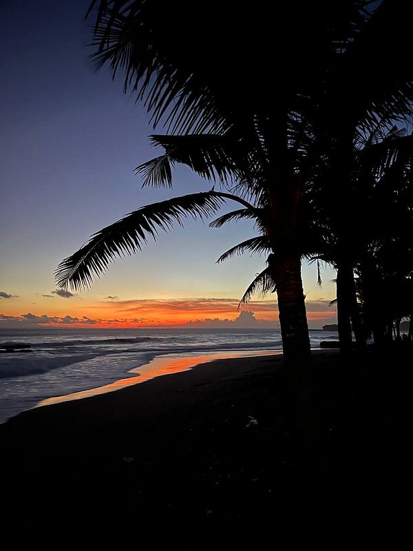 A serene beach scene at sunset with silhouetted palm trees.