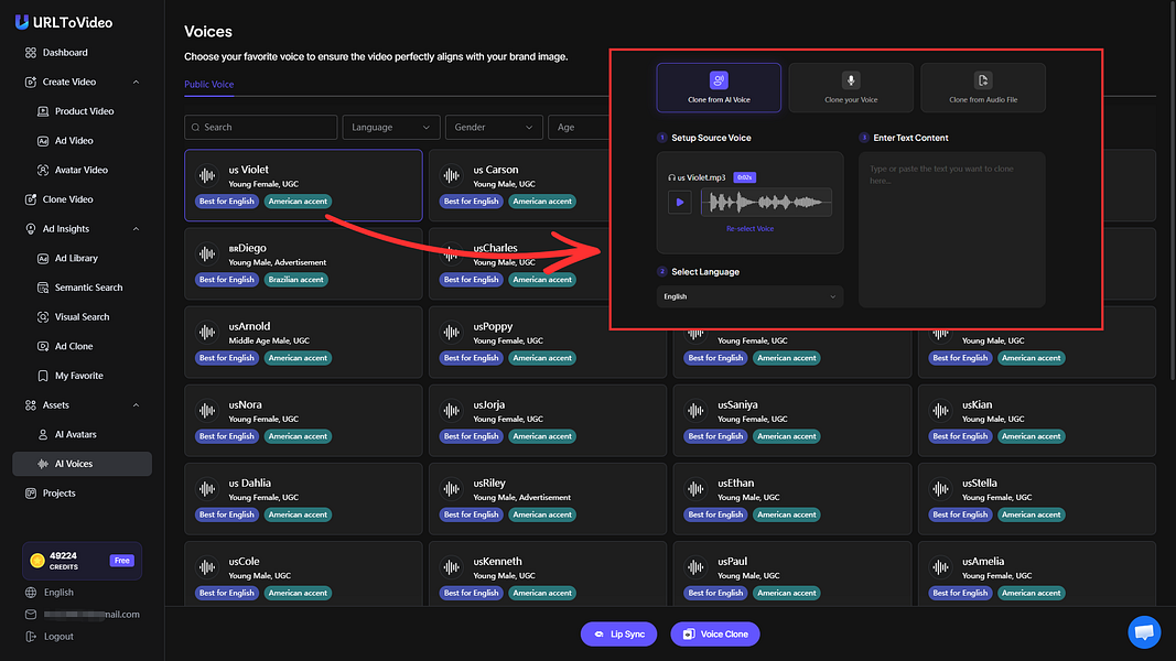 URL to Video