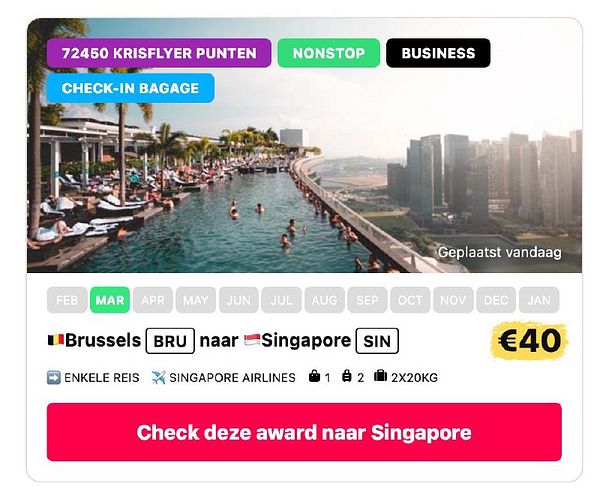 The image features a promotional offer for a flight from Brussels to Singapore with a scenic poolside view.