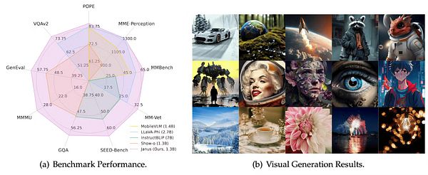The image presents benchmark performance data and visual generation results for the DeepSeek Janus model.