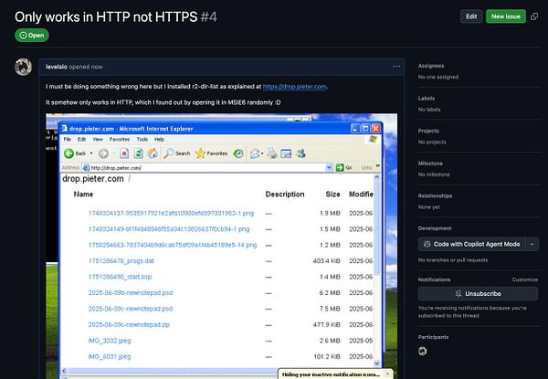 A GitHub issue discussing a problem with the r2-dir-list tool, featuring a screenshot of a directory listing in Internet Explorer.