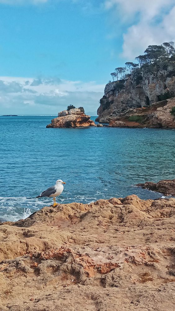 A smiling pregnant woman in an athletic outfit walks outdoors in a park or garden with a stroller, accompanied by a man in a casual jacket and jeans.