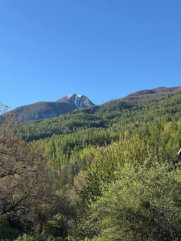 A camper van parked on a snowy mountain road with surrounding snow-covered hills and a cloudy sky.