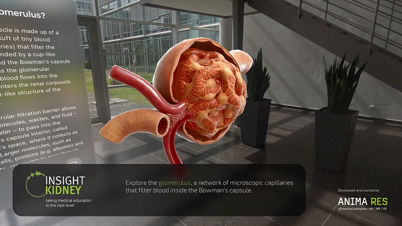 Screenshot of INSIGHT KIDNEY