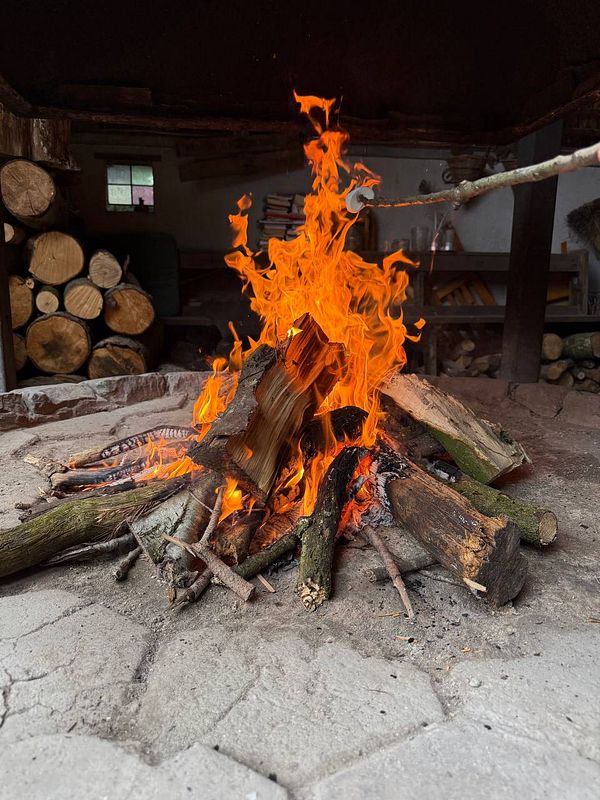 A vibrant campfire burns brightly in a rustic setting.