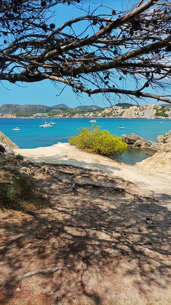 A scenic view of a coastal area with clear blue water, rocky terrain, and distant hills.