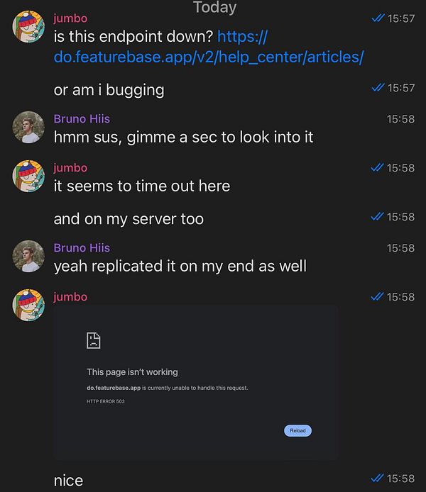 A chat conversation discussing an issue with a web endpoint being down.