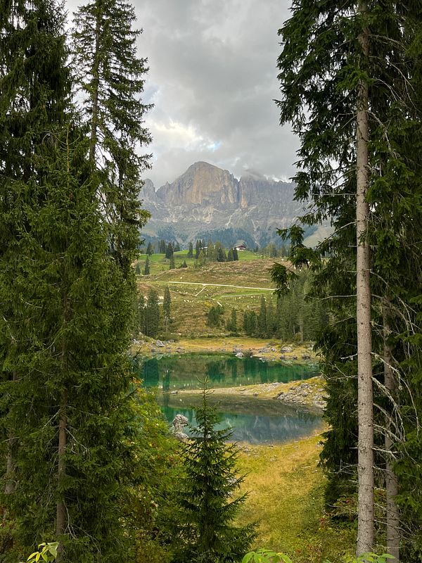 A scenic view of the Dolomites featuring lush greenery, a tranquil lake, and towering mountains in the background.