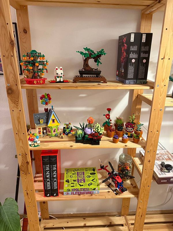 A wooden shelf displays a variety of colorful LEGO builds alongside books and a jar.