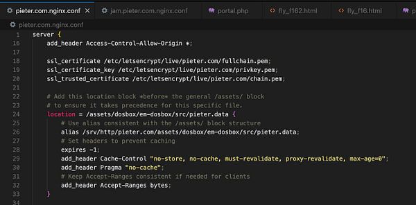 The image displays a code snippet from an Nginx configuration file related to server settings for a specific domain.
