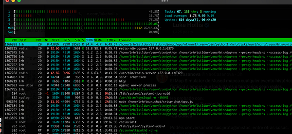The image displays a terminal interface showing system resource usage and running processes on a server.