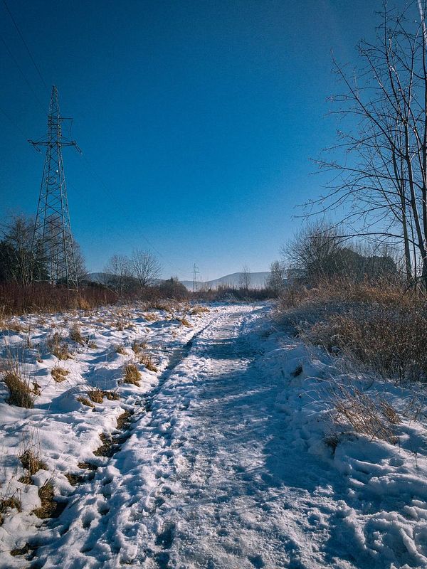 A snow-covered path stretches through a winter landscape under a clear blue sky.