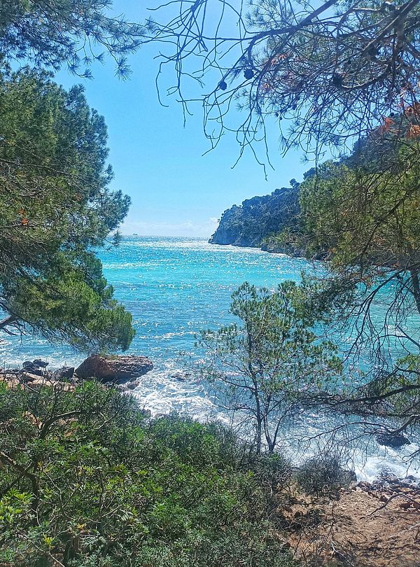 A scenic view of a coastal landscape framed by trees.