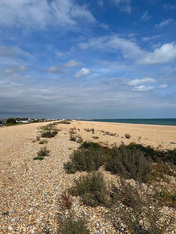 A scenic coastal view featuring a pebbled beach and a clear blue sky.