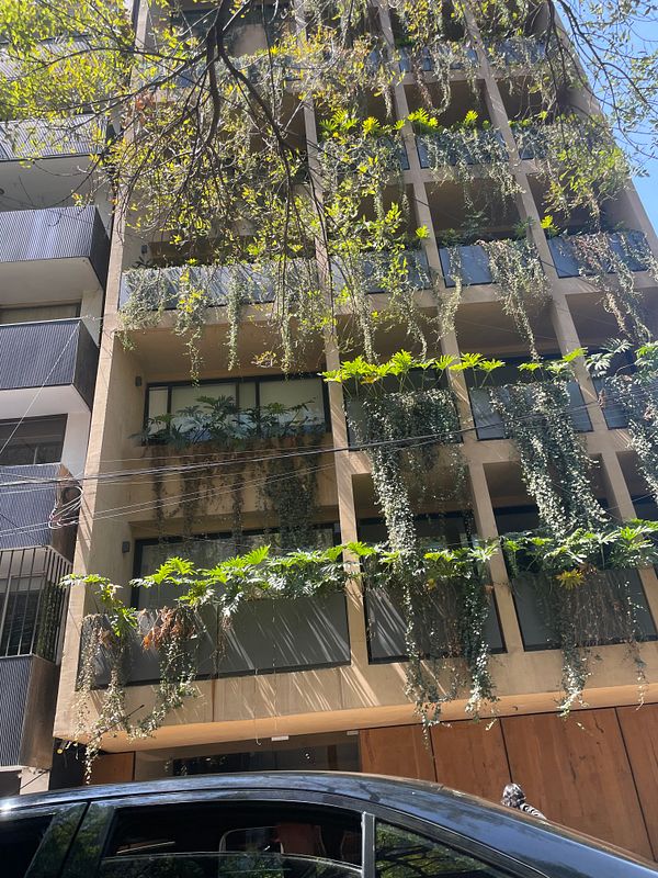 A modern building in CDMX adorned with lush greenery and sunlight filtering through the leaves.