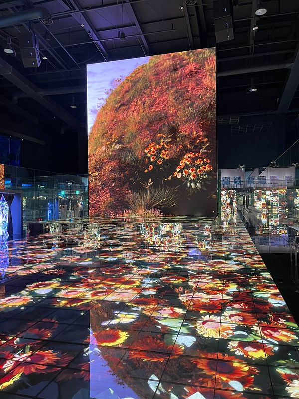 A vibrant, immersive art installation featuring a large digital display and a reflective floor covered in floral patterns.