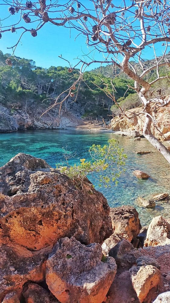 A scenic hiking trail view with mountains and greenery.