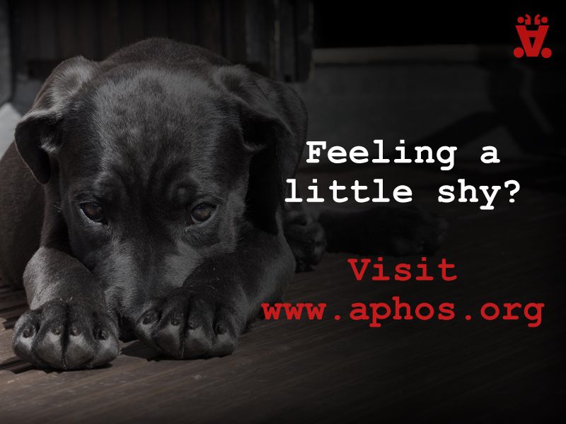 Aphos App