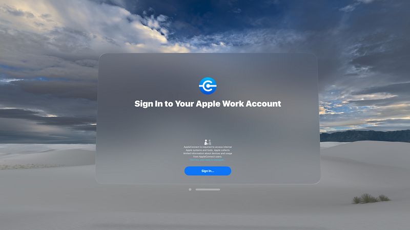 Screenshot of Connect SSO
