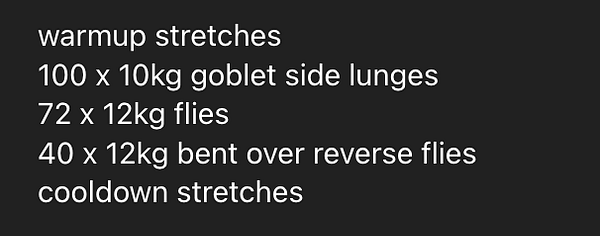 A workout plan for a home gym session is displayed.