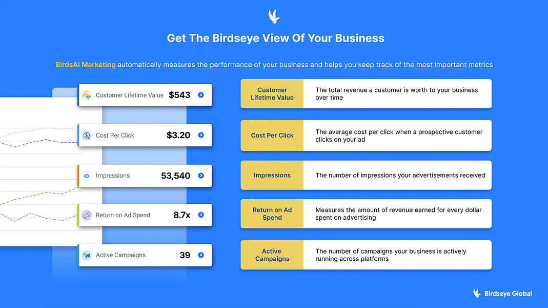 BirdsAI Marketing