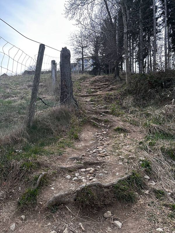 A rugged hiking trail leads up a mountain, bordered by a fence and surrounded by trees.