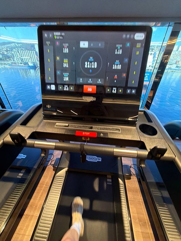 A woman is shown exercising on a rope climbing machine in a gym environment.