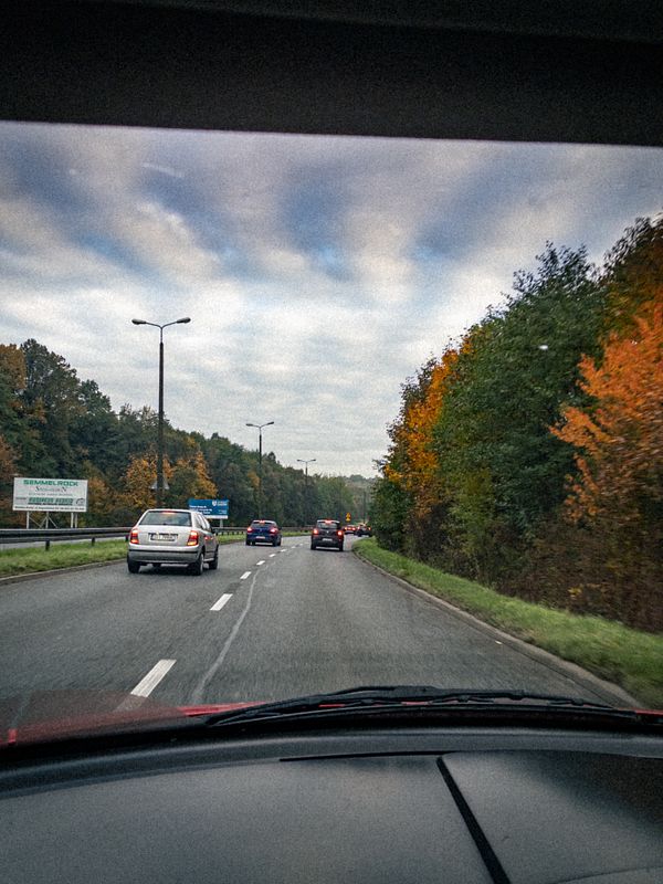 A view from inside a car on a road surrounded by trees with autumn foliage.