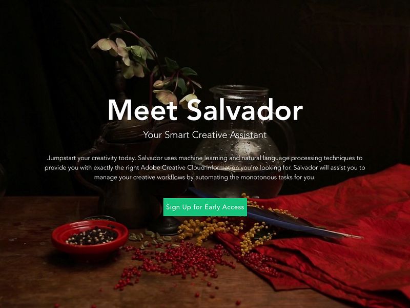Salvador AI