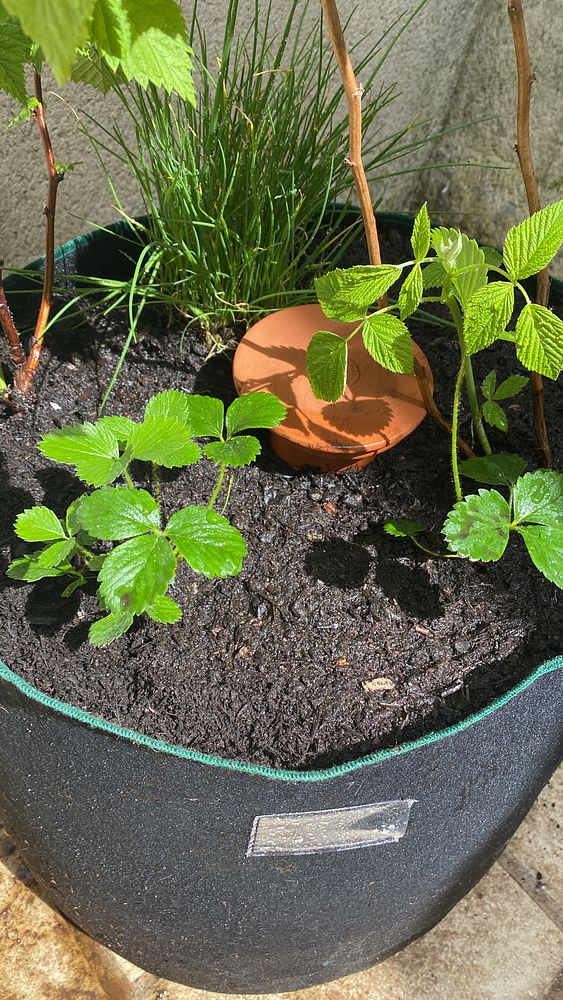 A young man is taking a mirror selfie in a gym locker room, flexing his arm muscles and wearing a sleeveless hoodie and a sports cap.