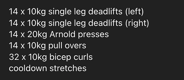 A workout plan detailing various exercises and their repetitions with weights.