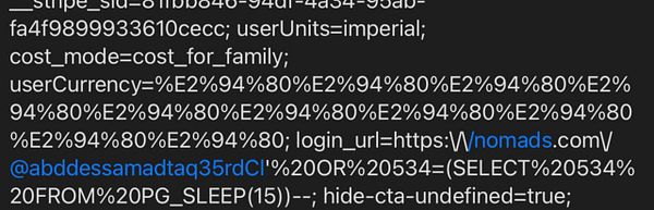 The image displays a snippet of code related to a potential SQL injection attack.