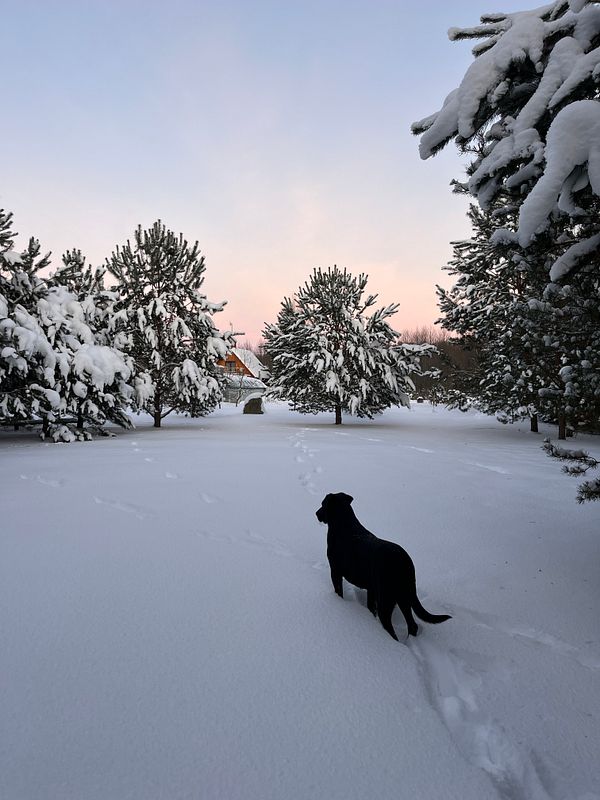 A woman sitting on a stone wall overlooking a cliffside beach with waves and a rocky island in the distance during a partly cloudy day.