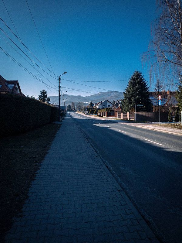 A clear morning scene of a quiet street lined with houses and trees.