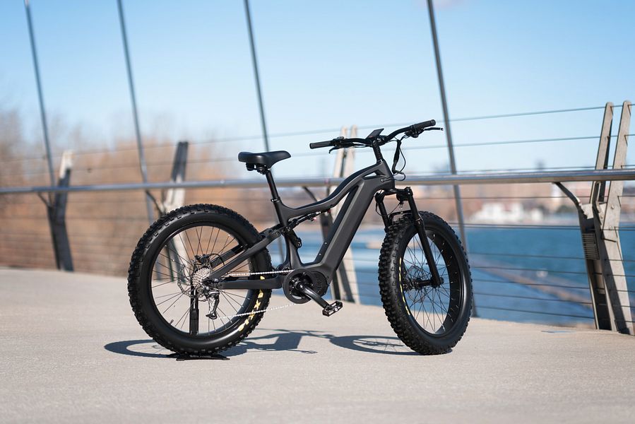 Luup-X eBike