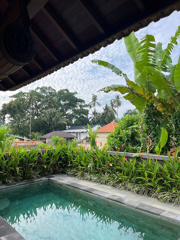 A serene view of a private pool surrounded by lush greenery in Ubud, Bali.