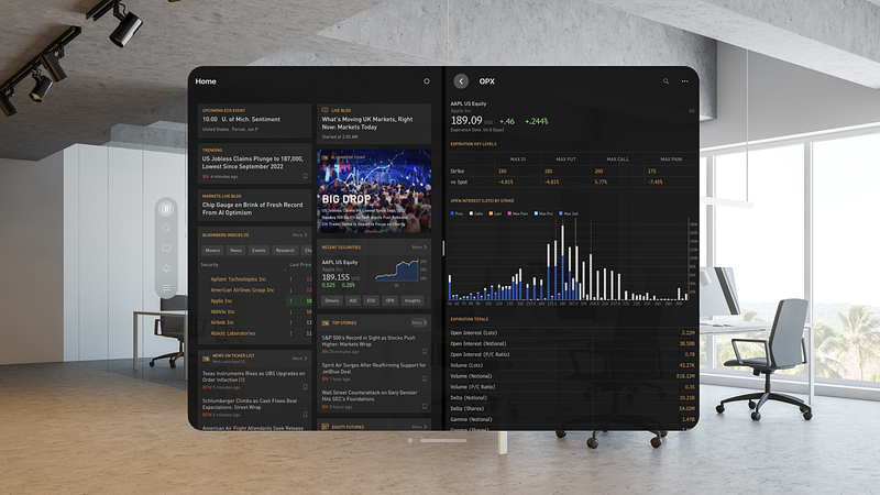 Screenshot of Bloomberg Pro for Vision