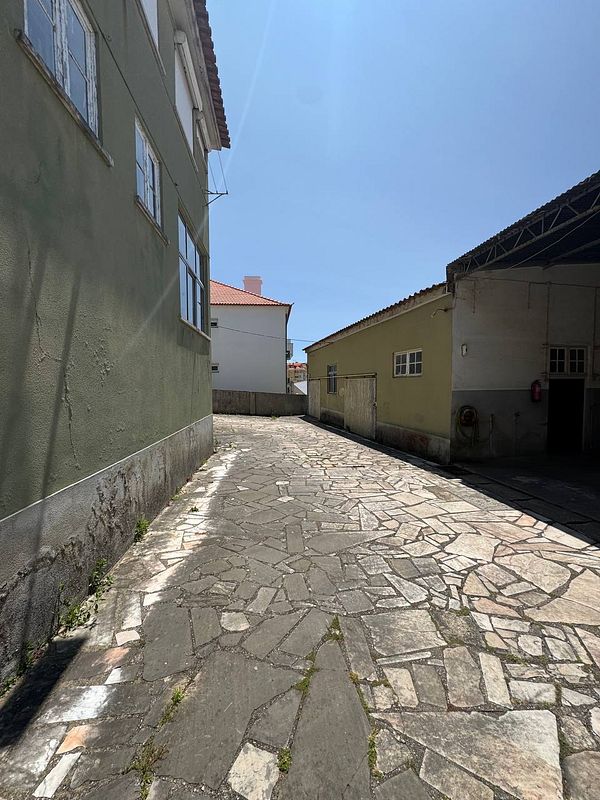 A narrow, sunlit alleyway lined with buildings and a cobblestone path.