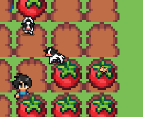 A pixel art style map of a farm game layout, depicting fields, water, buildings, and paths.