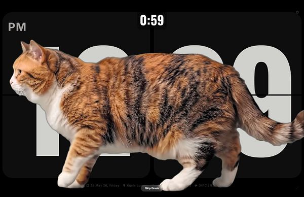 Screenshot of a webpage showing the Walking-Cat Gatekeeper project details and repository information.