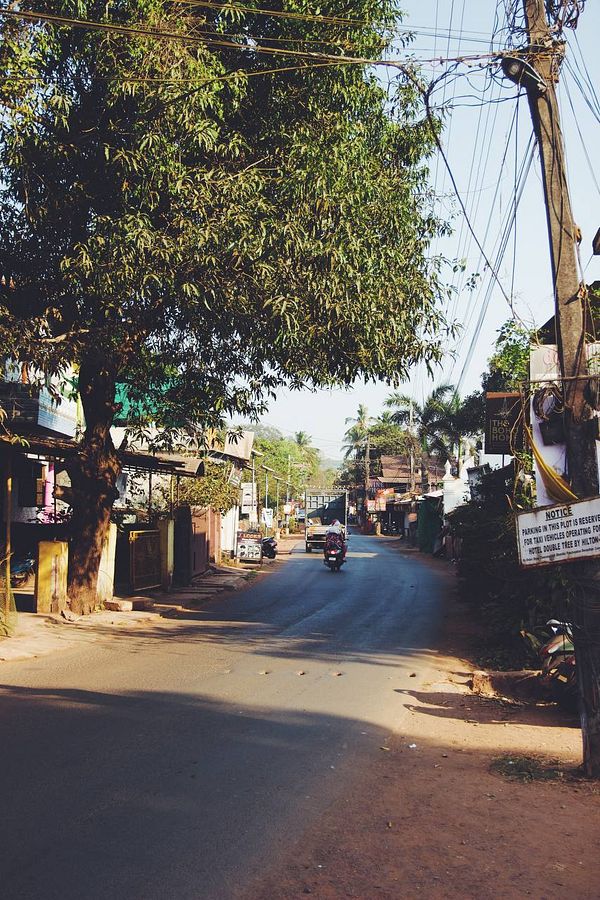 A quiet street scene in Goa with a mix of greenery and local shops.