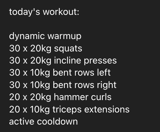 A detailed workout plan for a home gym session.