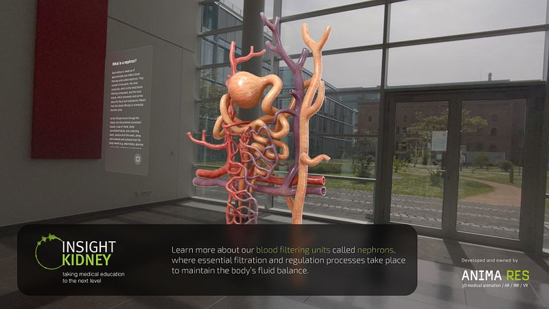 Screenshot of INSIGHT KIDNEY